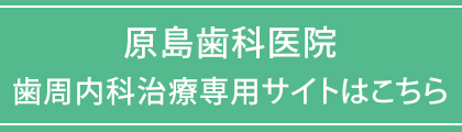 shisyu_bnr