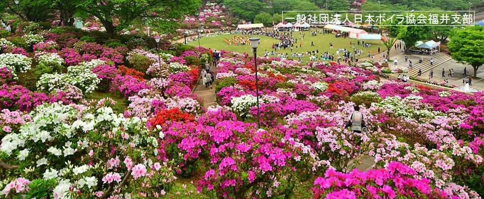 西山公園 新