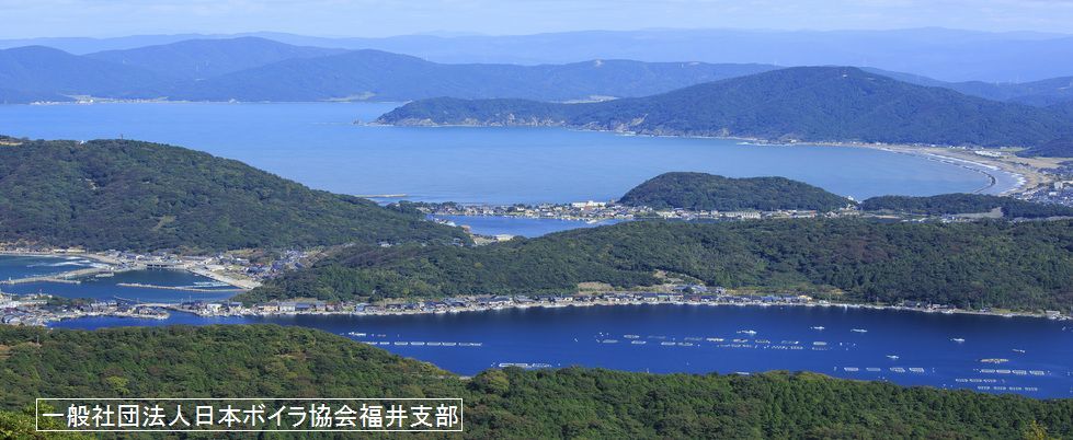 三方五湖  新