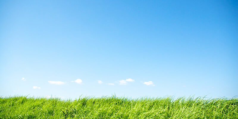 知財総合支援窓口について