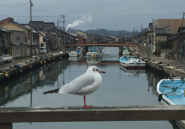 内川1