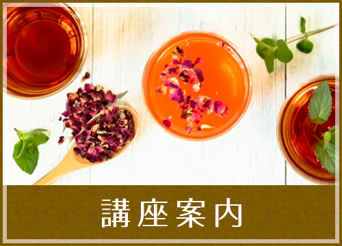講座案内