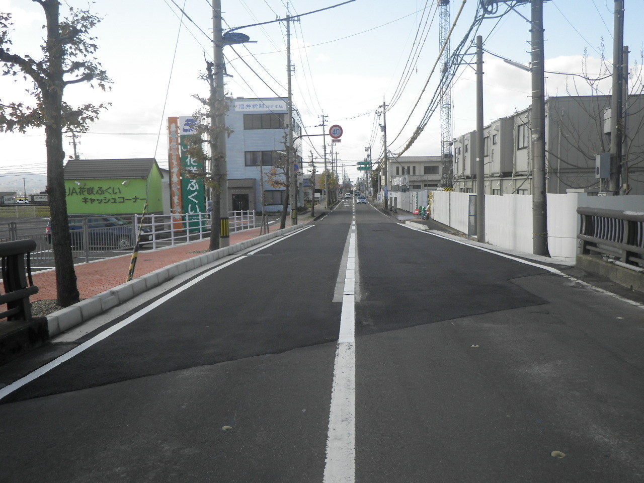 RIMG1795