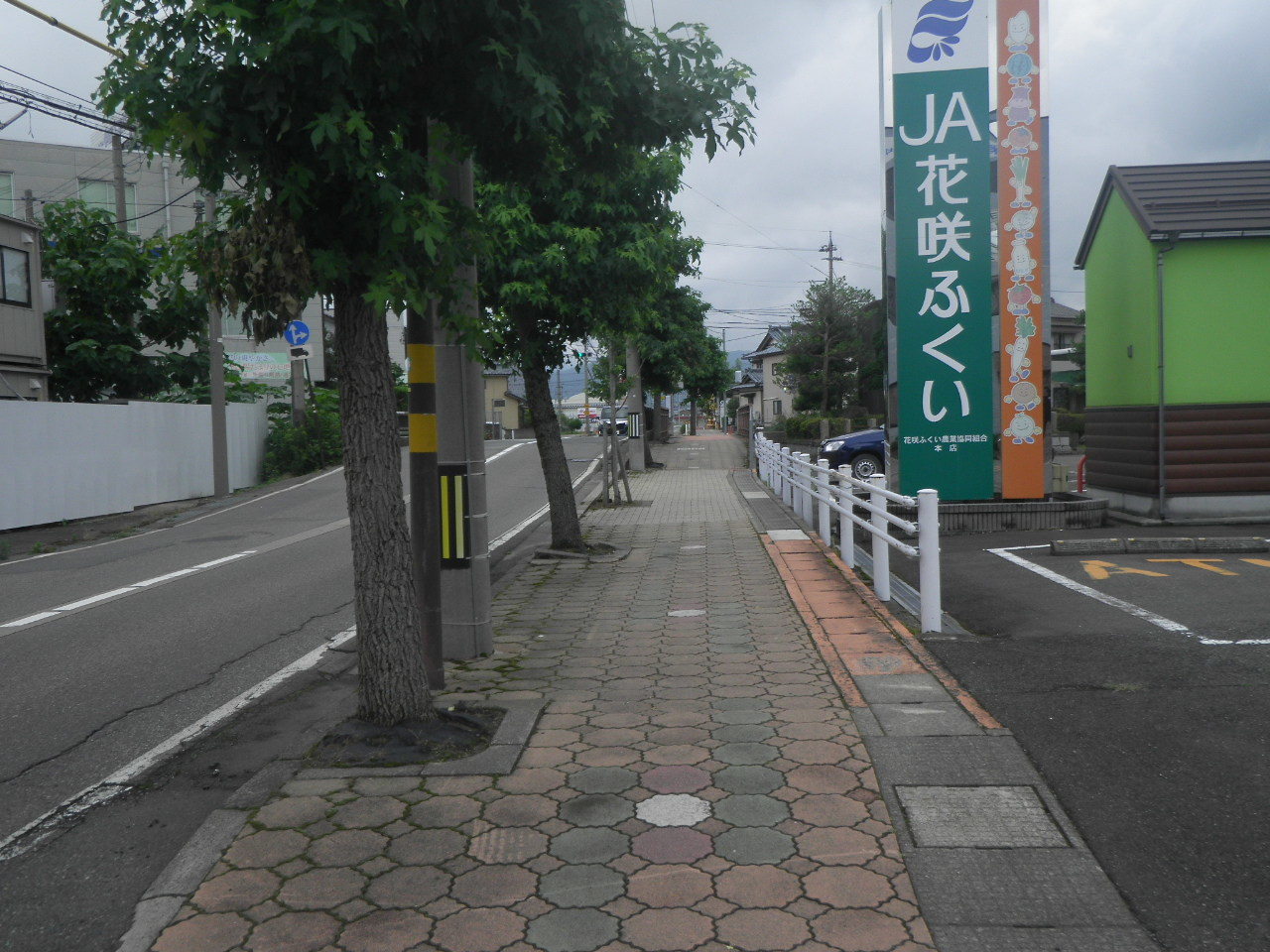 RIMG0610