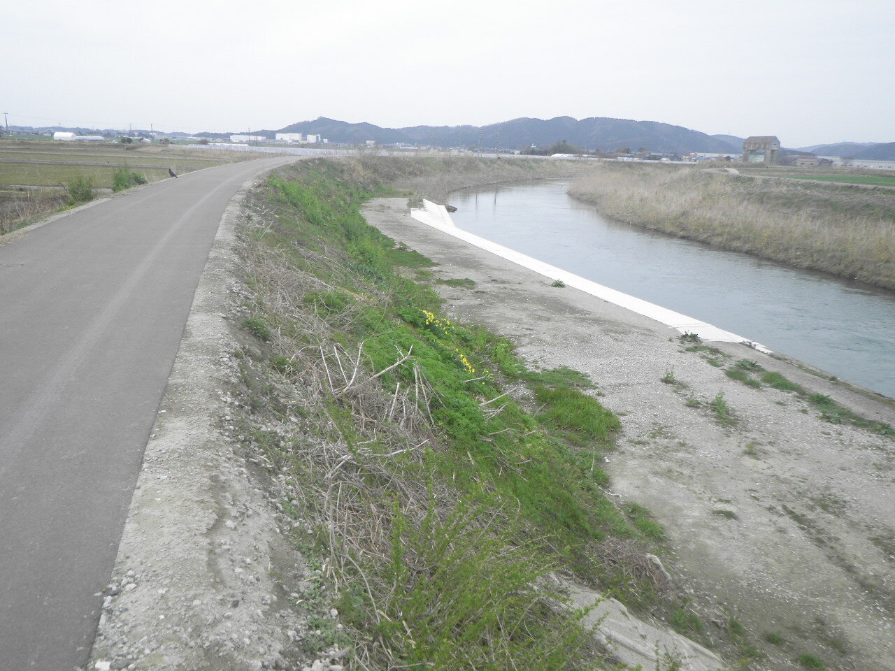 RIMG4382