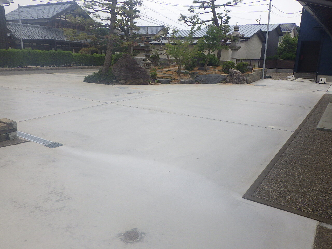 RIMG2669