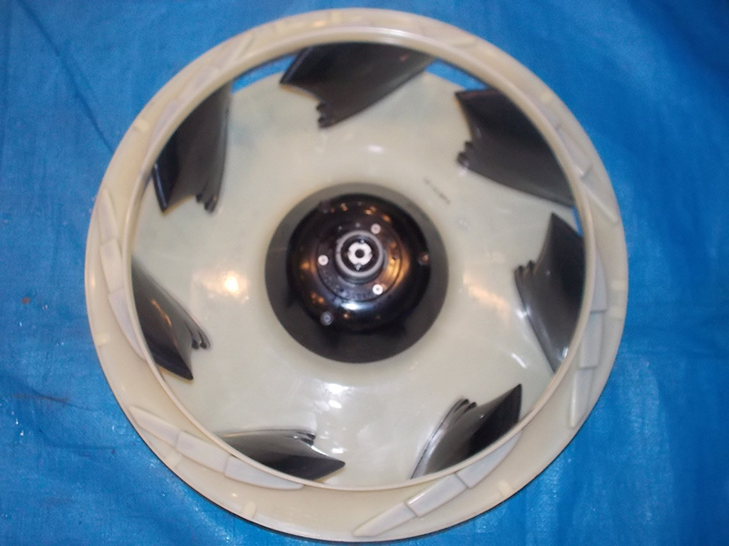 クリーニング後-(4)