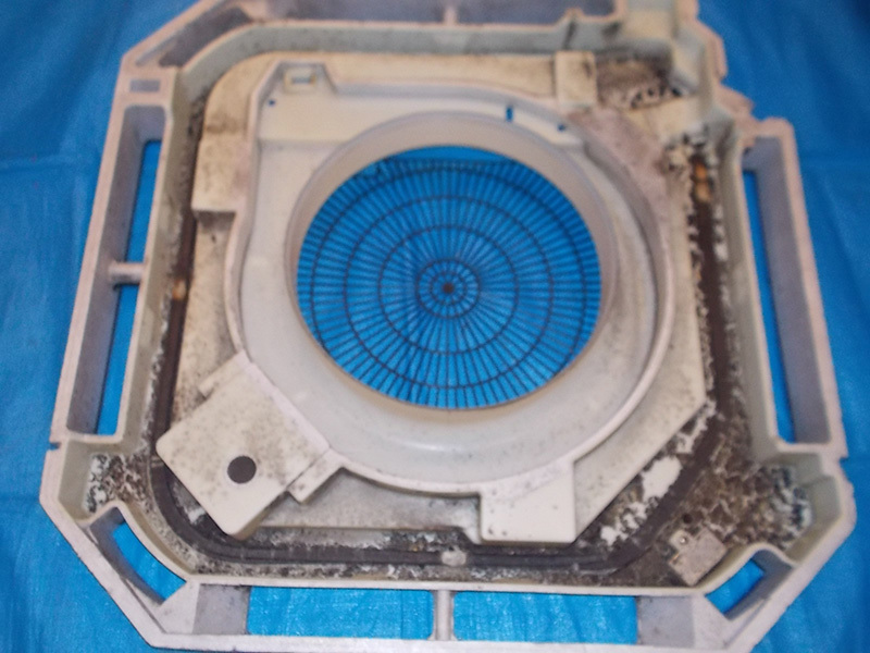 クリーニング前-(2)