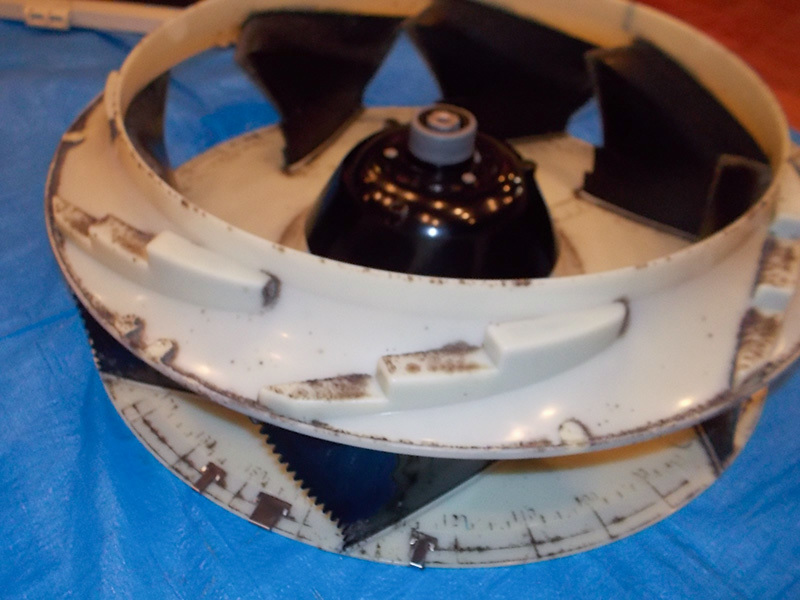 クリーニング前-(4)