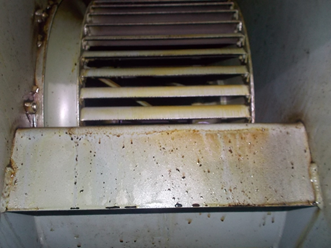 排気ファン清掃前