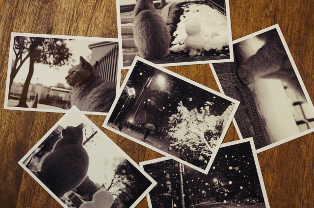 写真・フィルムスキャニング