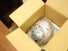 t02200165_0640048011769349534