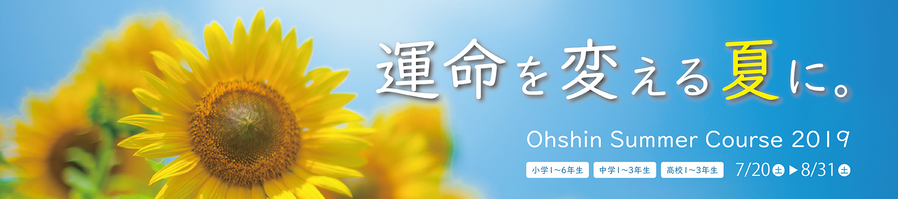 夏期講習