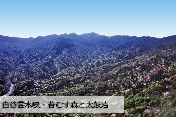 白谷雲水峡1日トレッキング