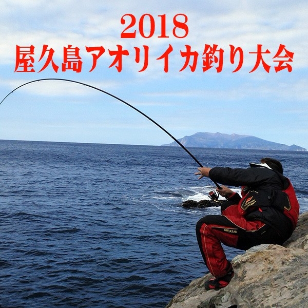 アオリイカ釣り大会