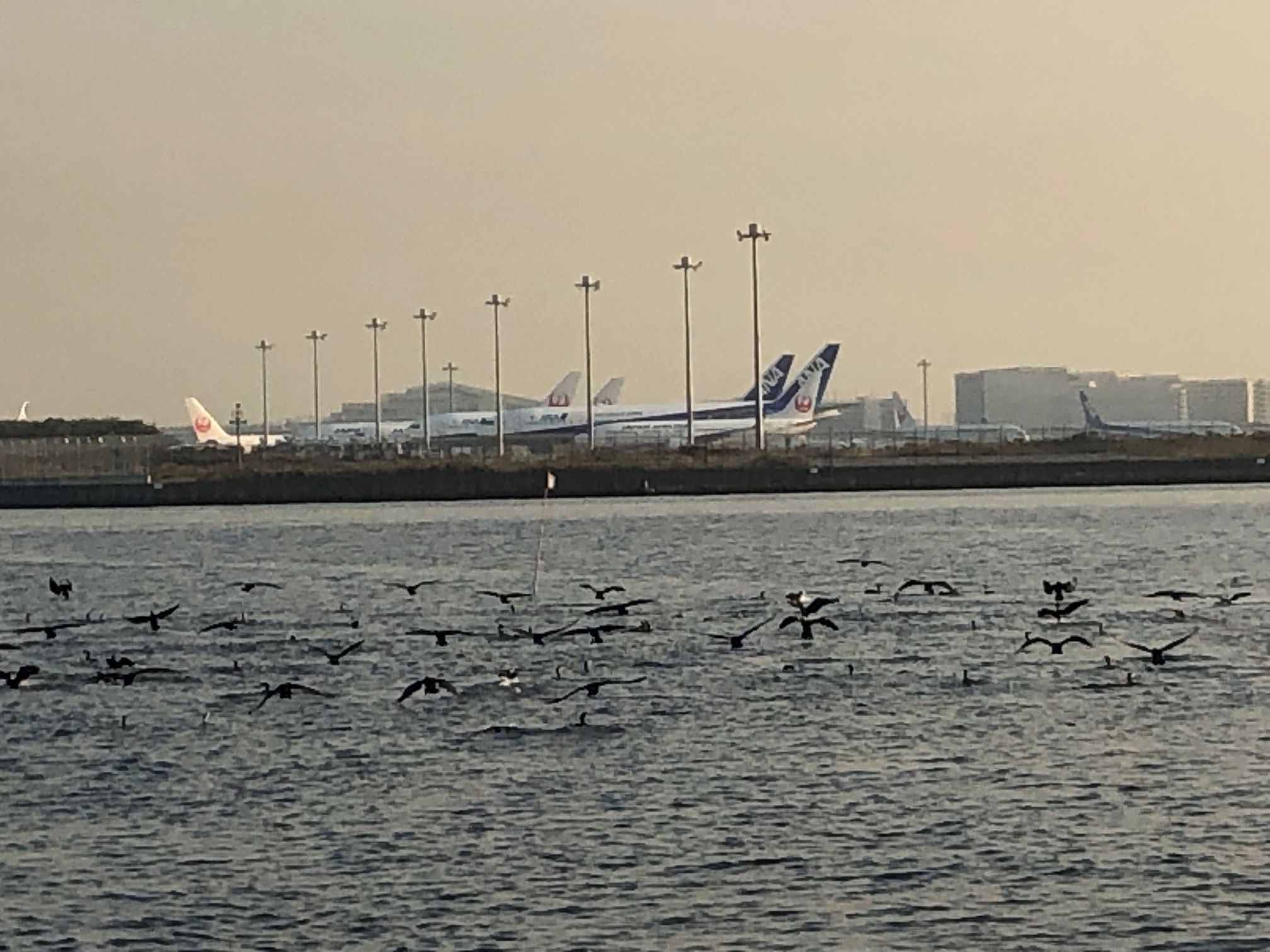 屋形船ドットコム海鳥 海風を