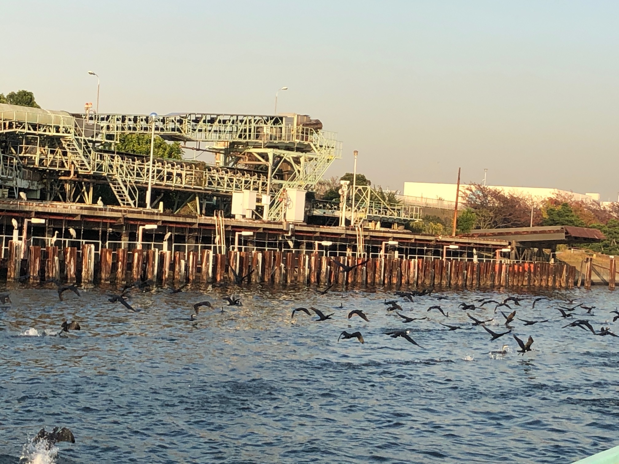 屋形船ドットコム海鳥 海風