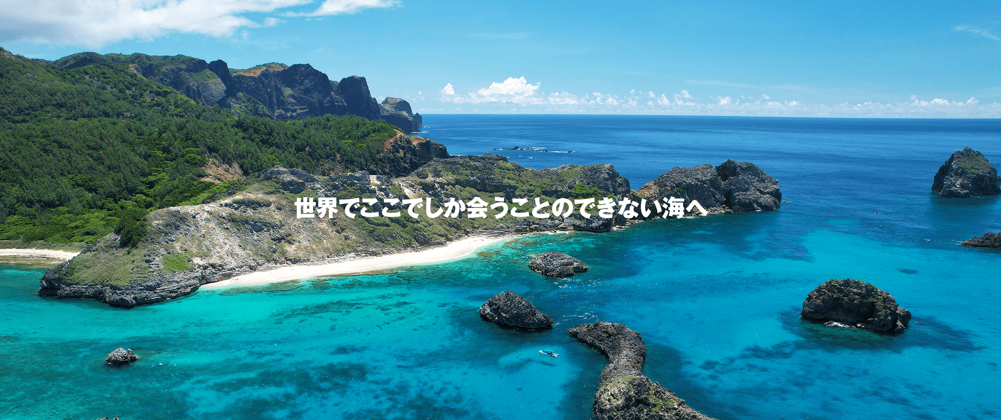 世界でここでしか会うことのできな海へ【ST TOUR】