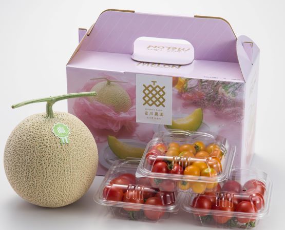 夏なつコンビSピンク トリミング S