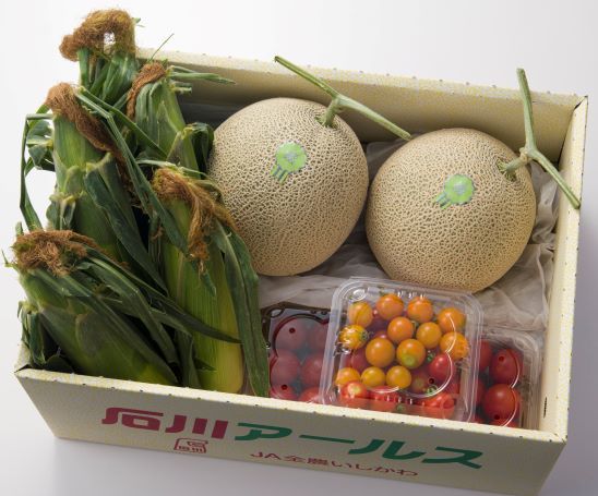 朝露セットW トリミング S