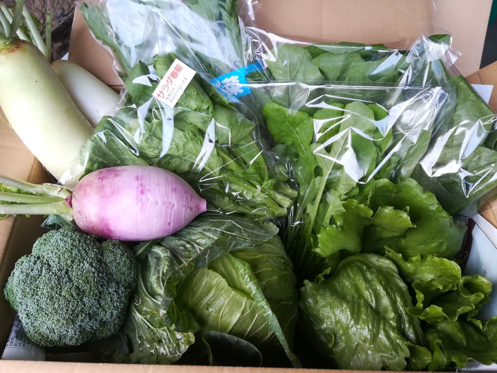 商品8 イメージM