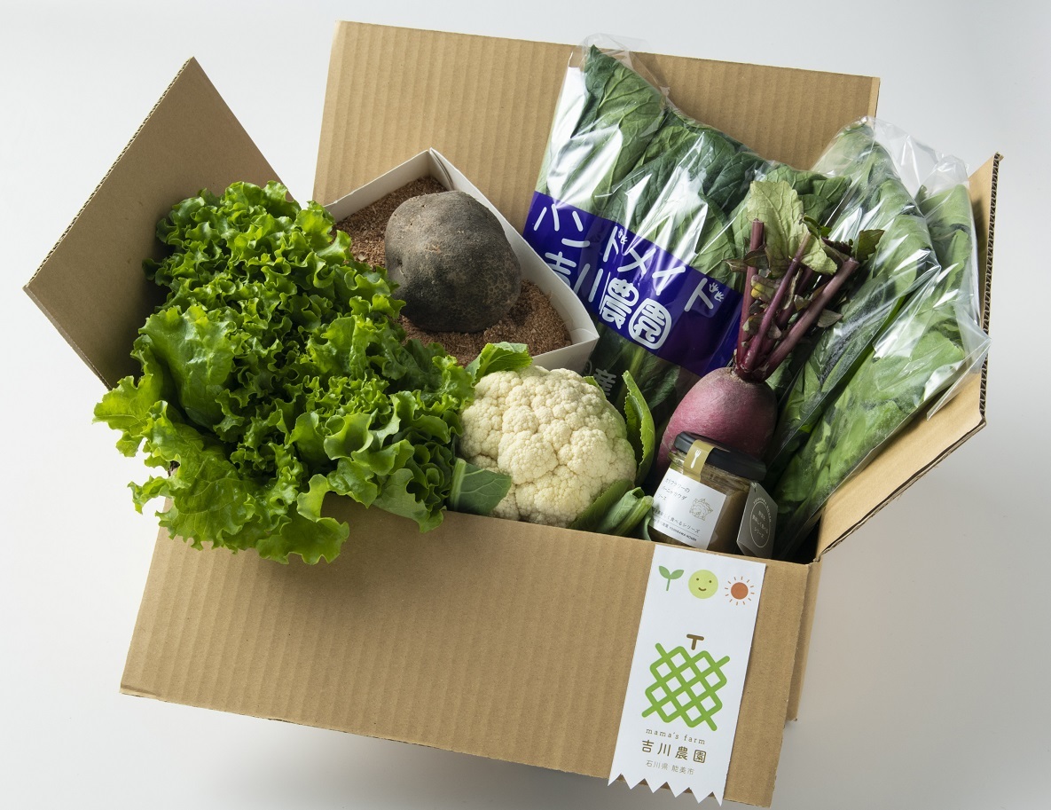 12_丸いも季節の野菜Mセット-M