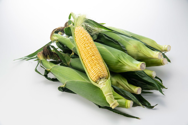 直接販売2_コピー