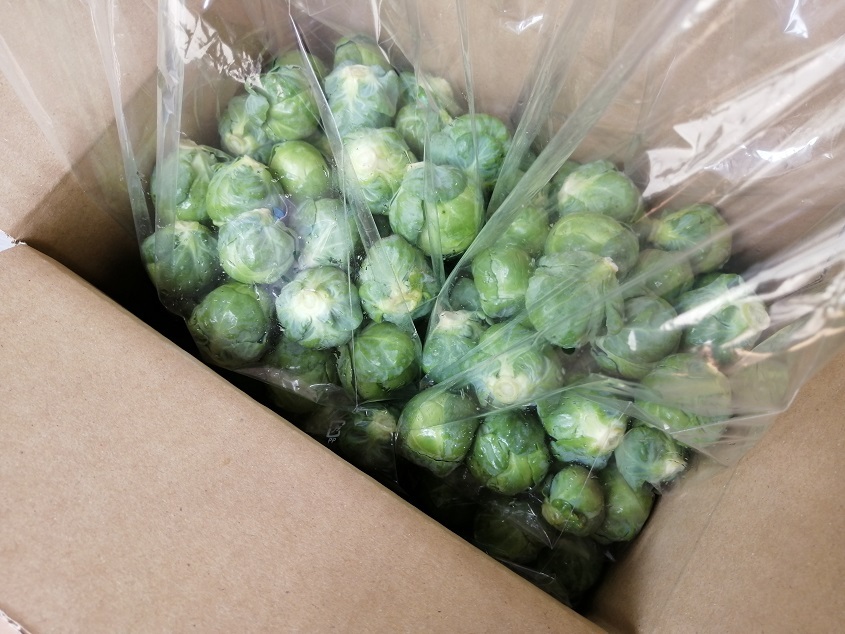 04-1芽キャベツ1.5㎏-S
