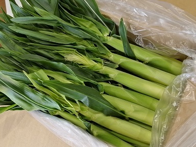 80サイズ 50本 S