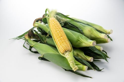 とうもろこし-S