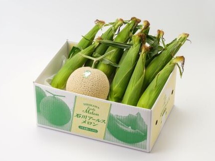 メロンコーンセット10-MT