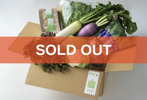 soldout_22_玉手箱丸いもLセット-M