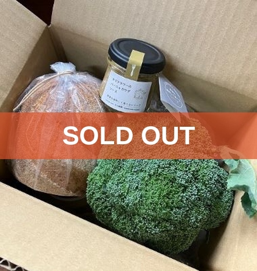 soldout_176505294370901