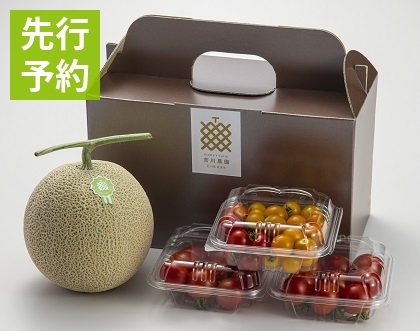 preorder_夏なつコンビS-ST