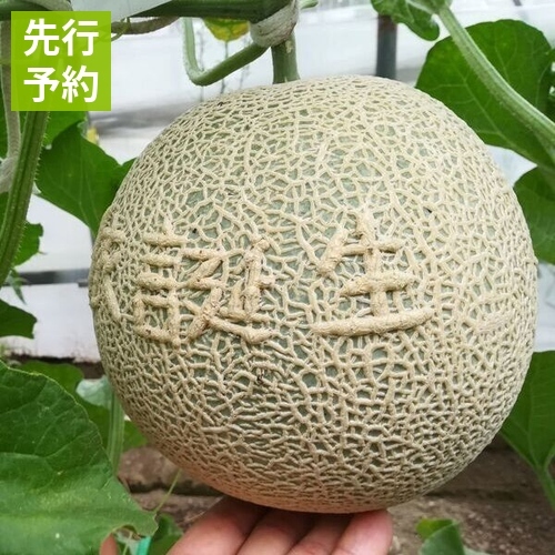 preorder_172482231227001