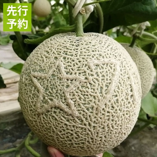 preorder_172482237525301