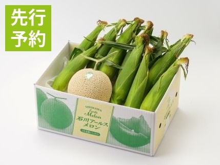 preorder_メロンコーンセット10-MT