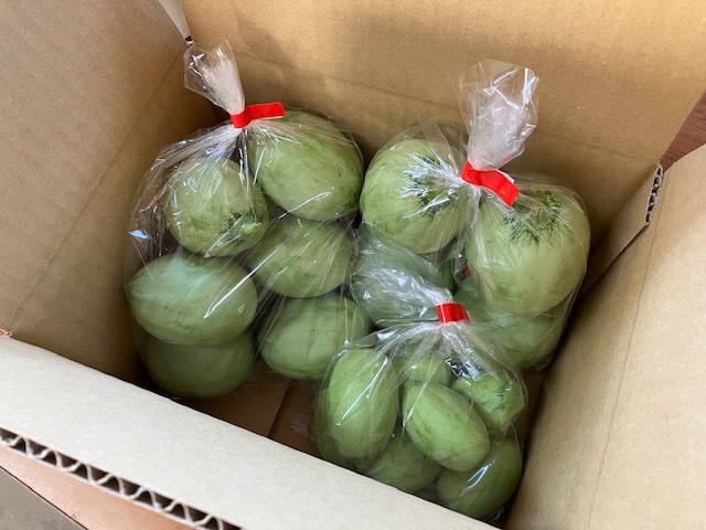 60size-M箱 1.6㎏