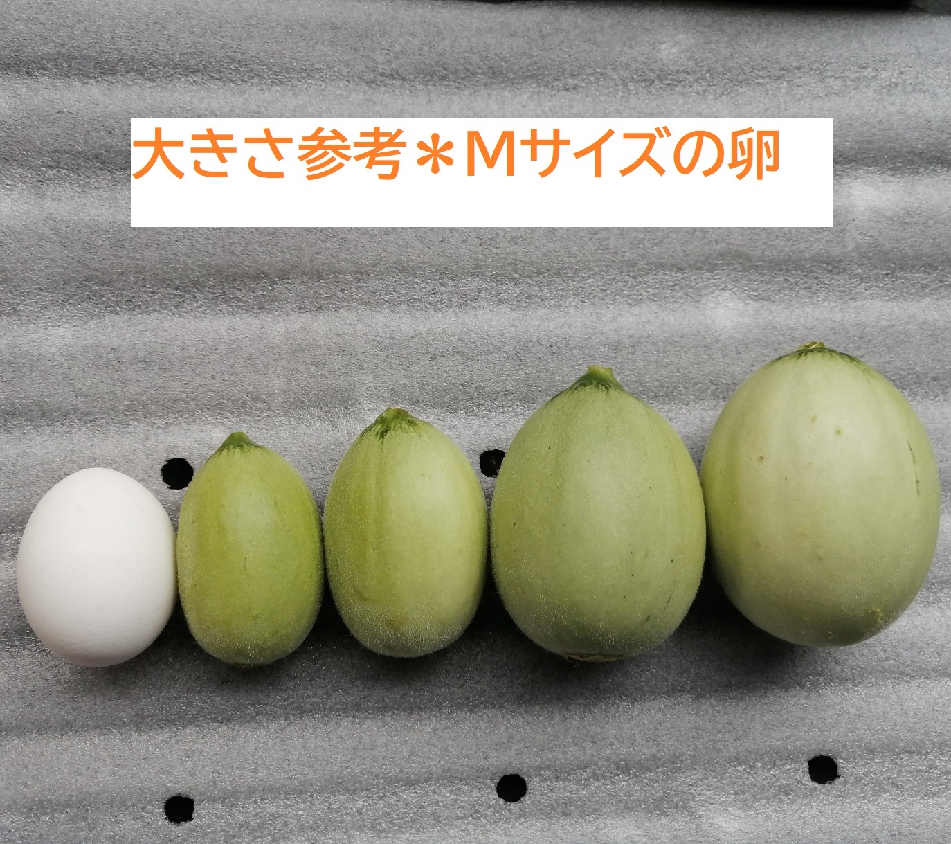 サイズ卵比較