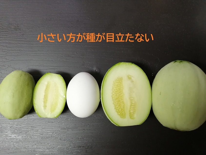 サイズ比較 小さい方が目立たないM