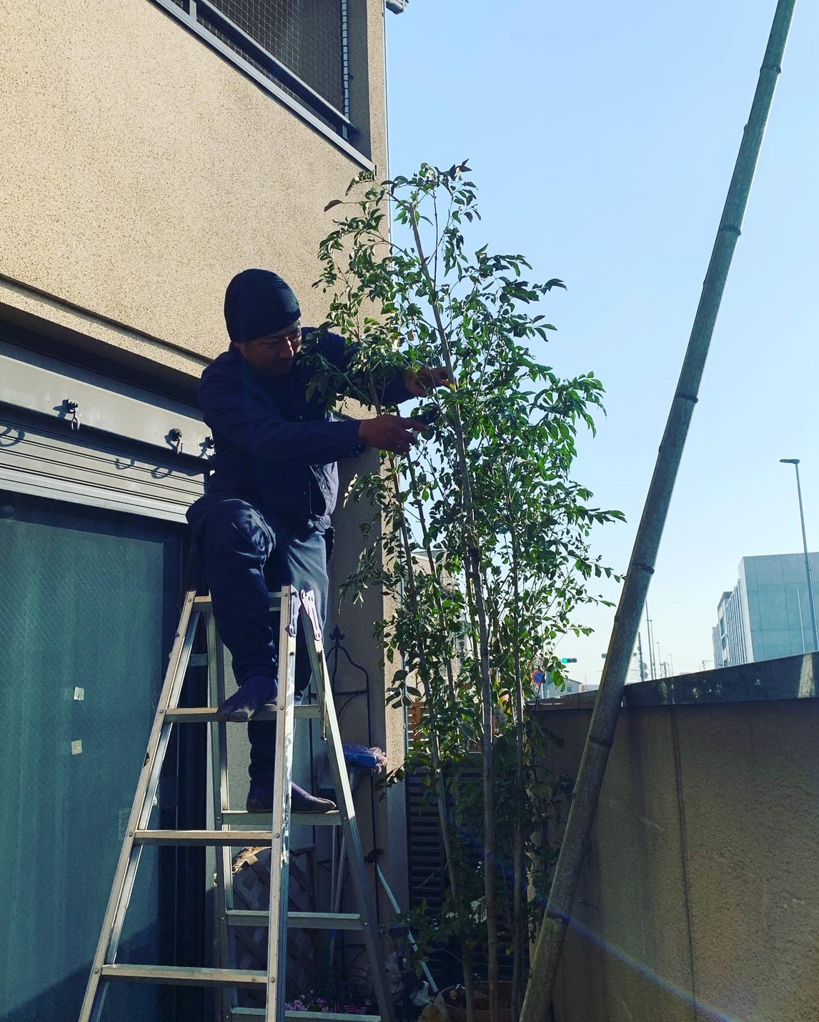 49C79152-5537-4284-8AF3-2CBF28FCDAE6