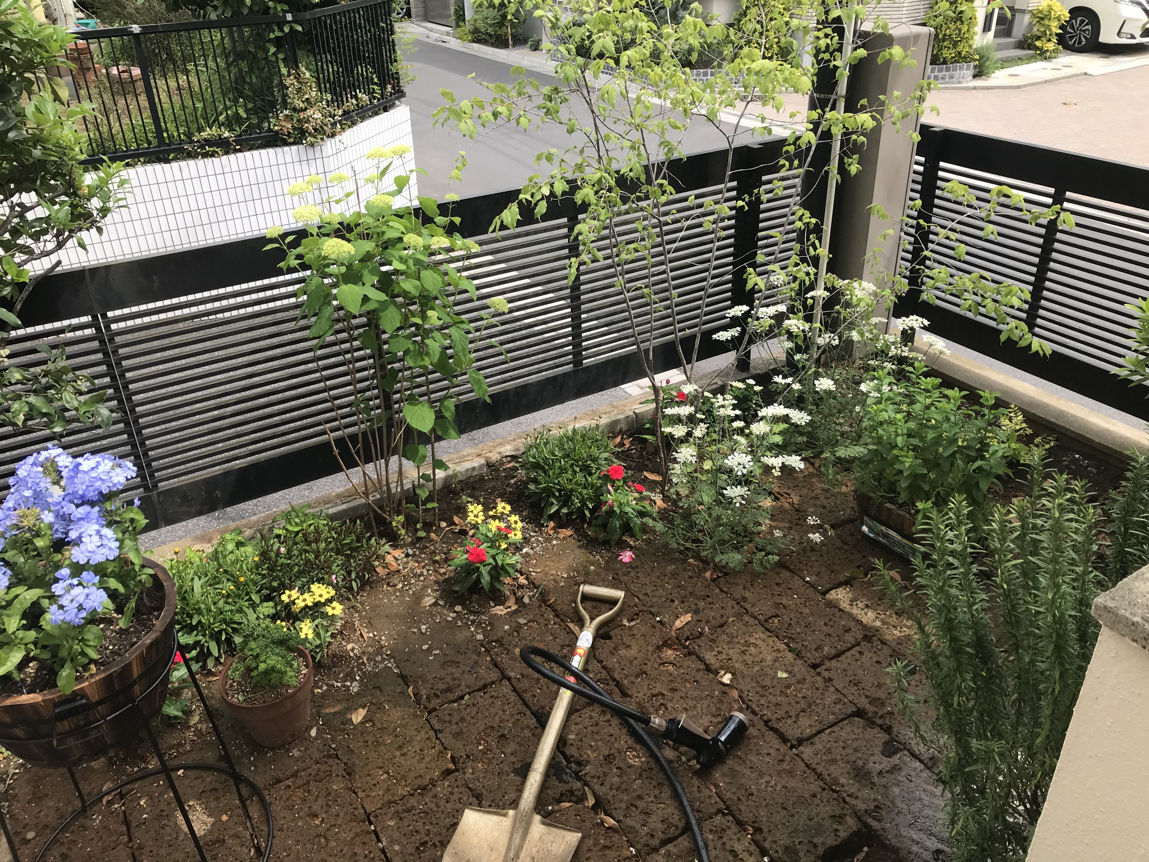 5BCDDCC5-BED5-4FB9-992A-BA2FA317A813