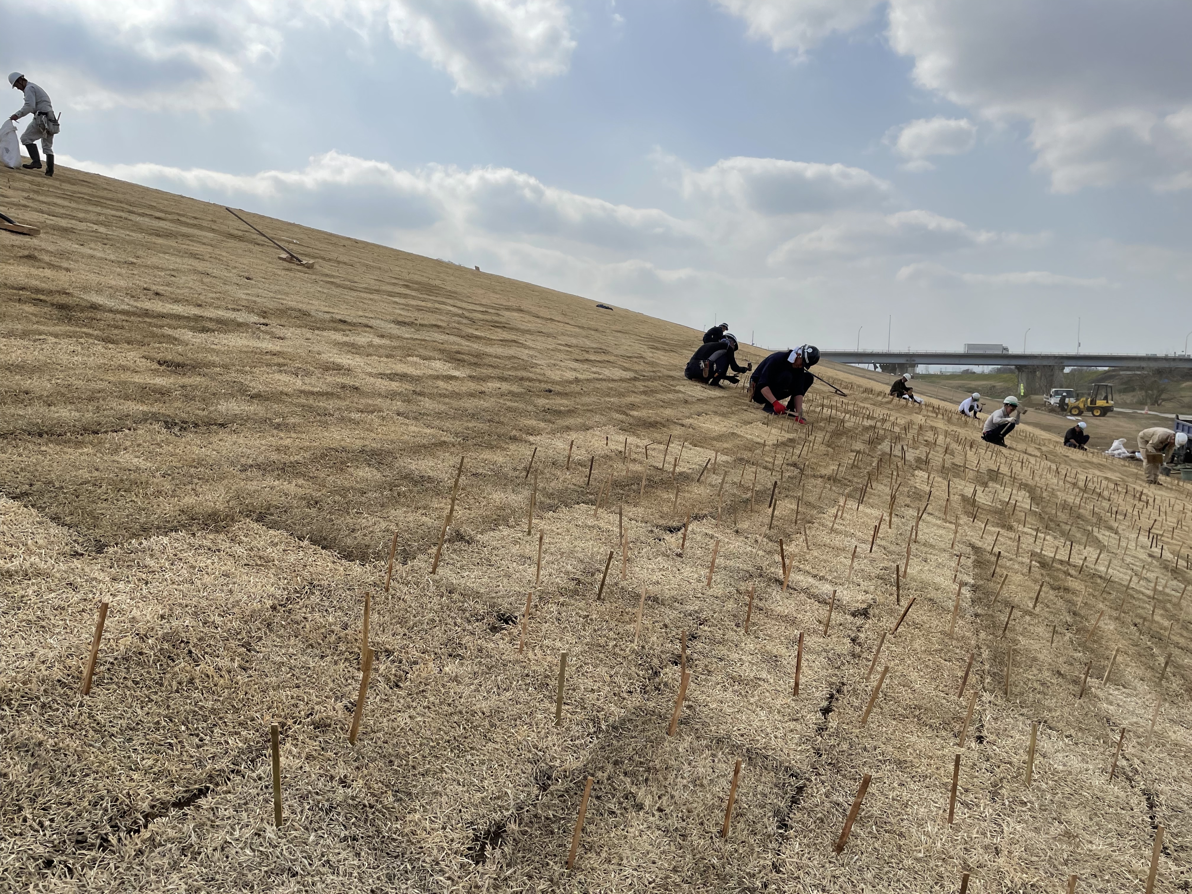 E02F2FEA-C28E-40FA-927C-75282C315A56