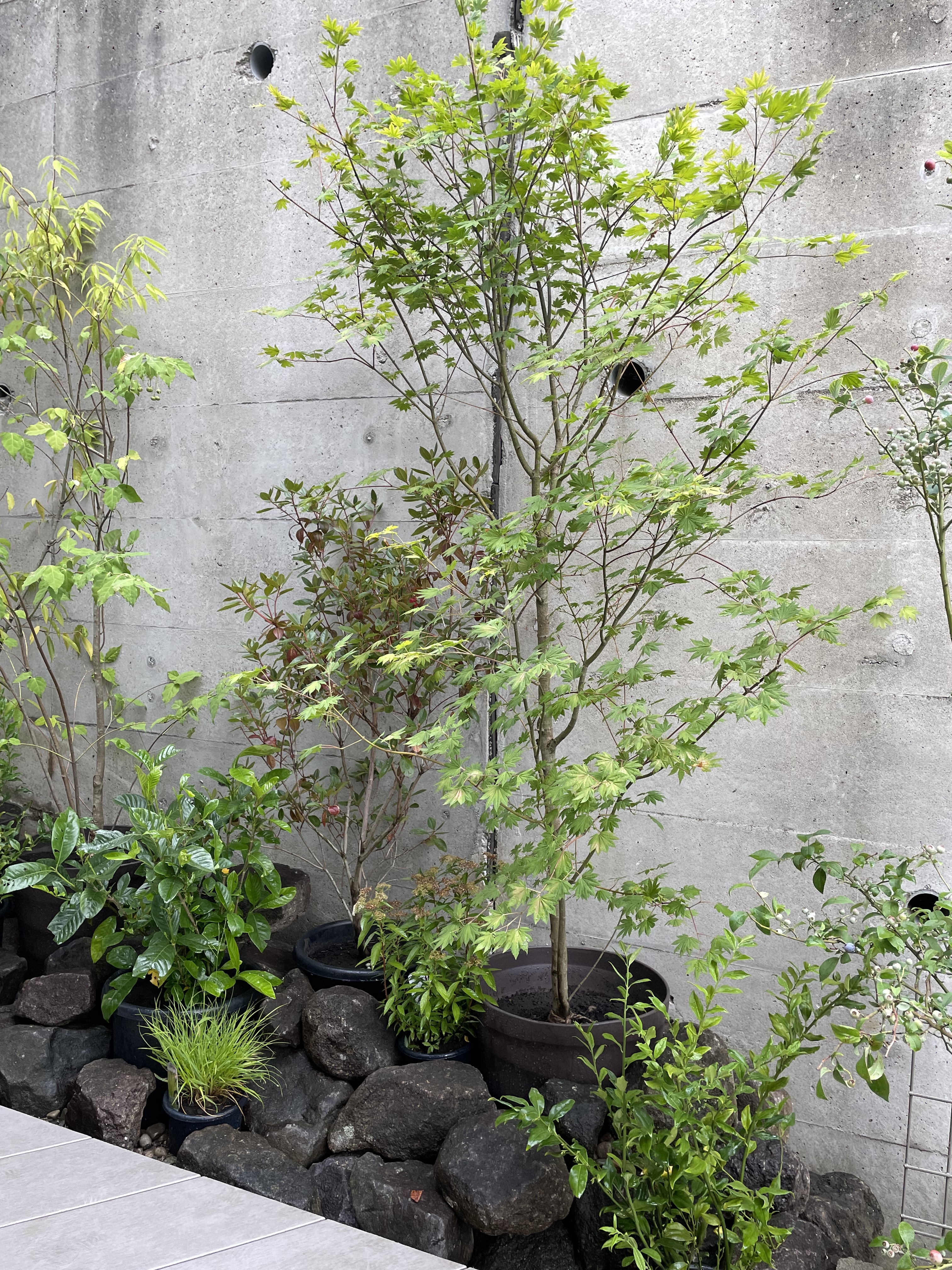 CDA8B9F7-9619-4EFC-B1C1-F4C6608D3A07