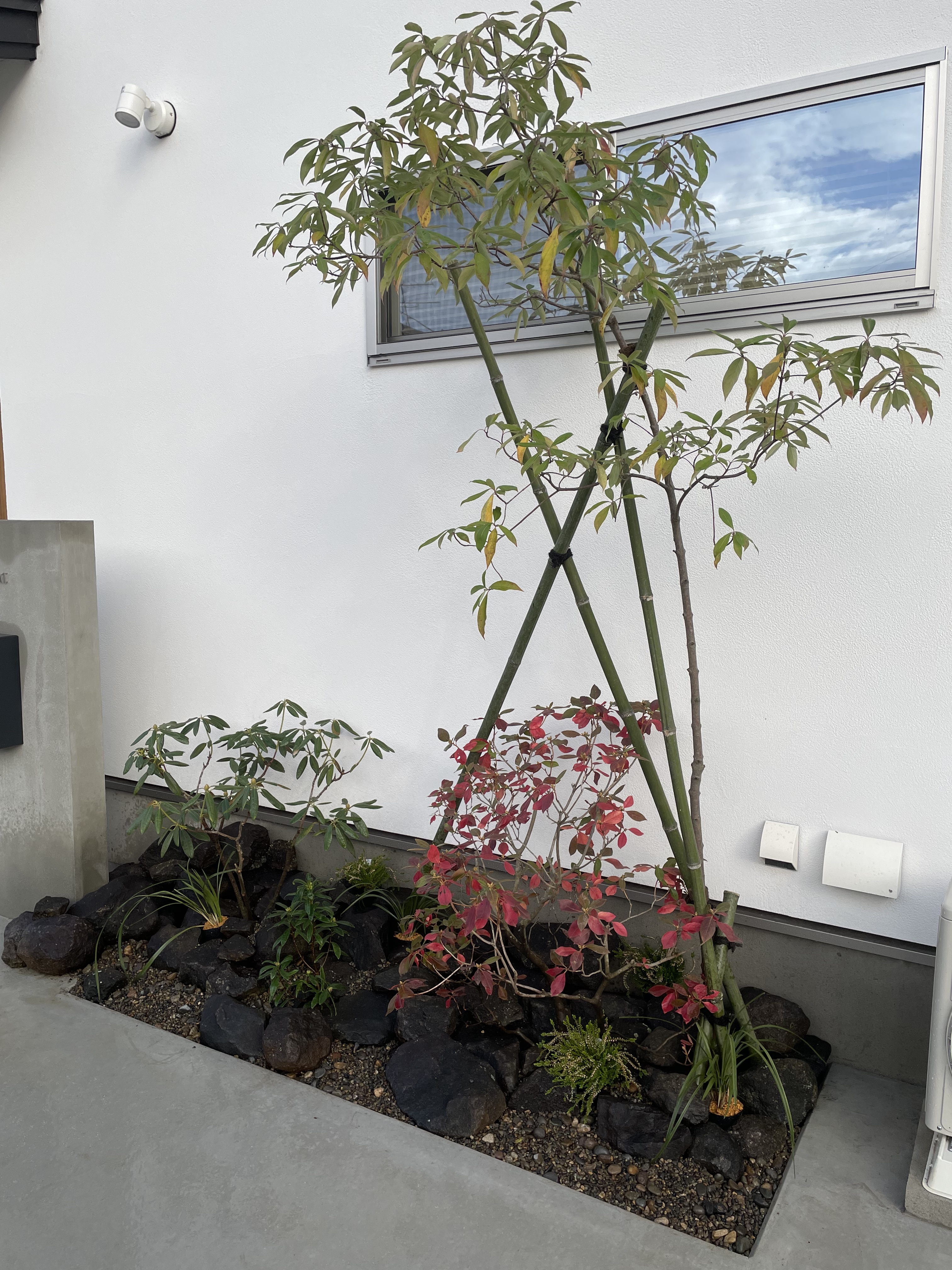 92582B5E-F5E1-4597-8C3B-966CE962F8B1