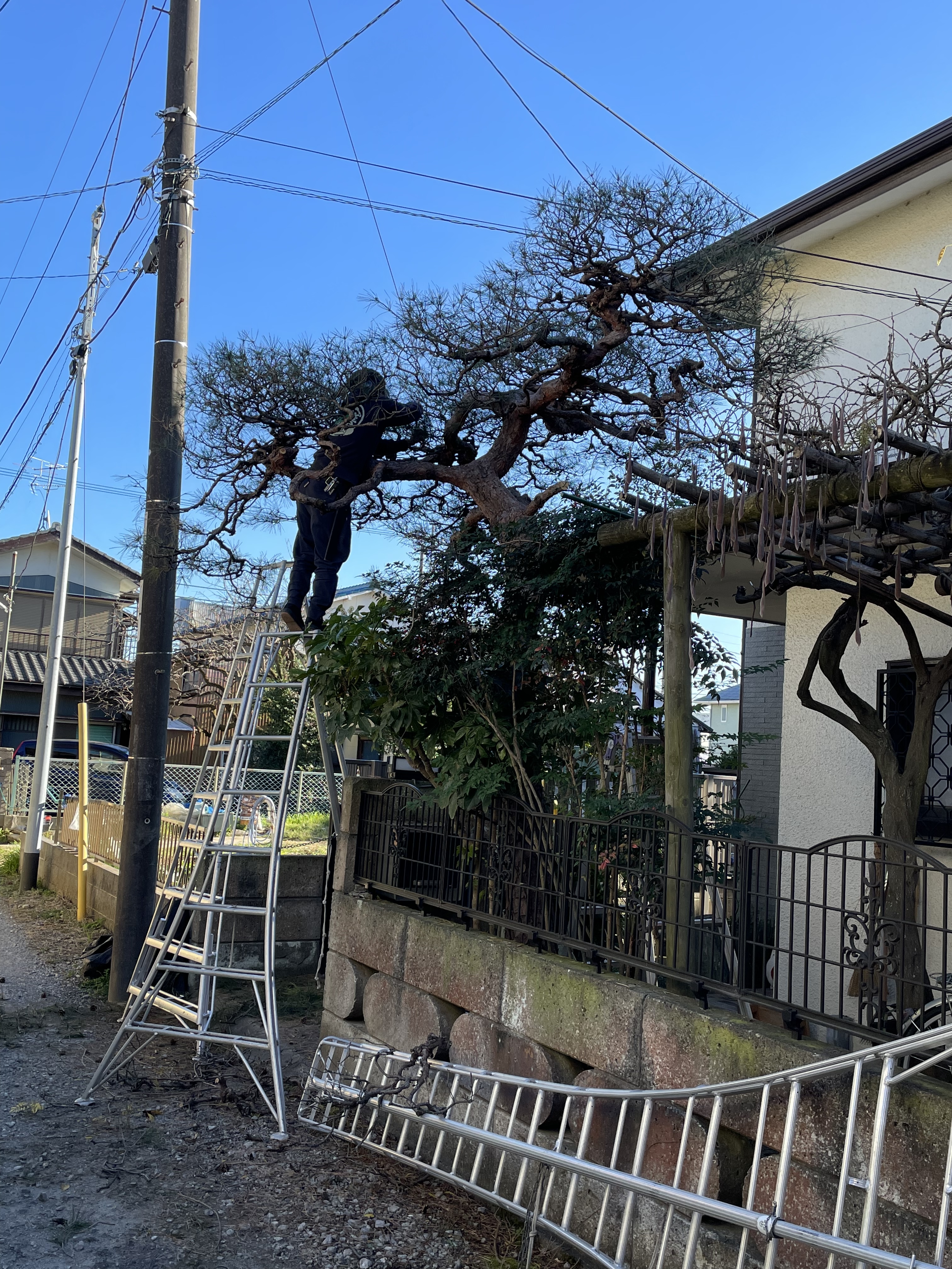 FCA7336A-FEAD-412F-91F5-0DBA85FBA4E5