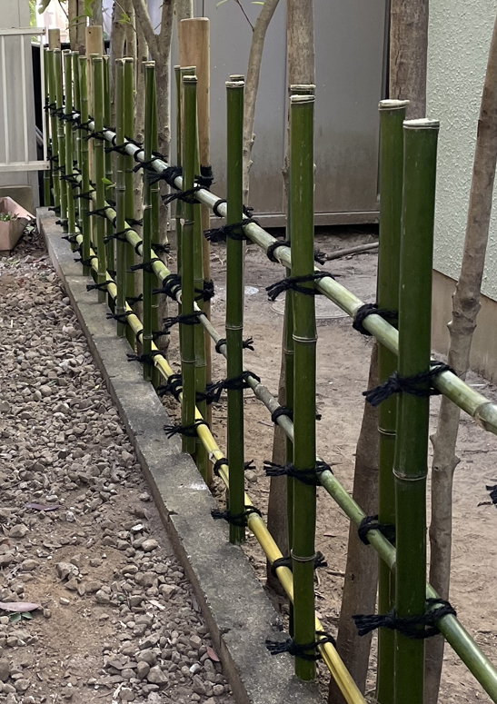 46B08F02-DF28-4C86-9124-820D3B4E824C