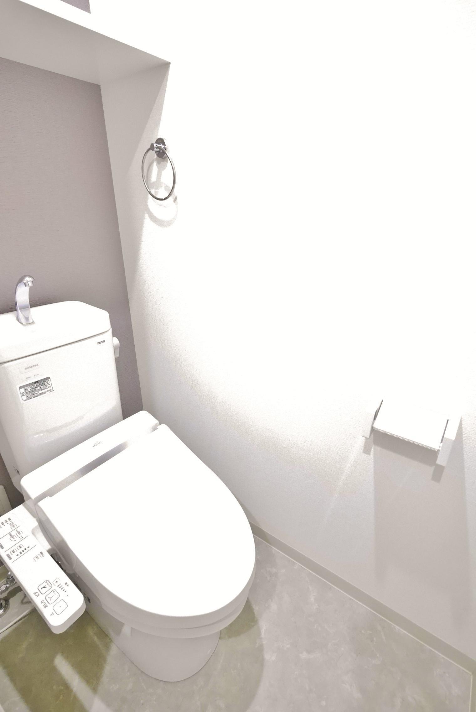 リュシオール_トイレ