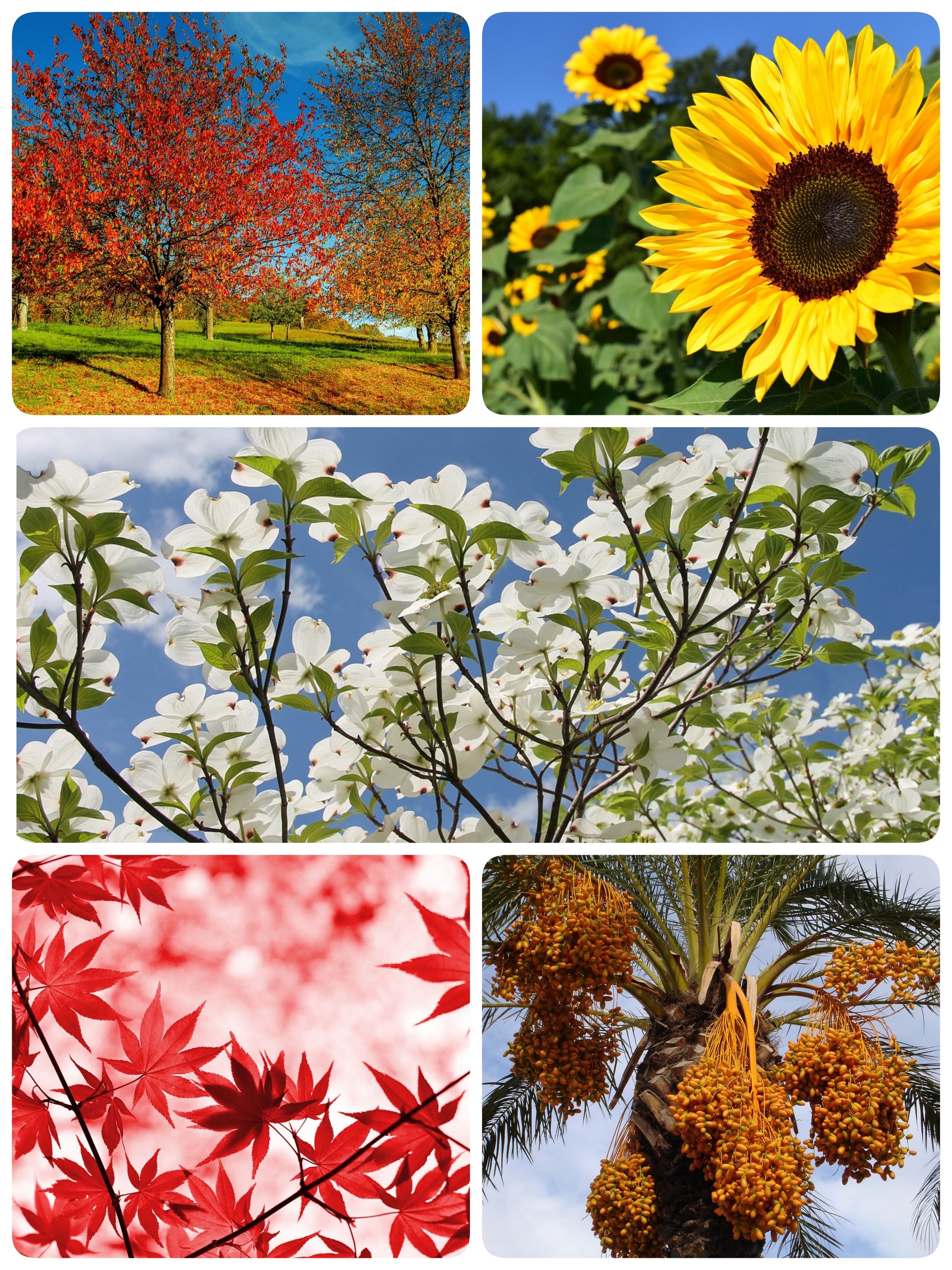 23-01-12-19-08-56-011_deco