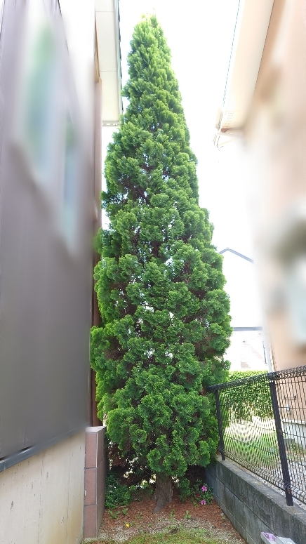 Point Blur_20230527_205057